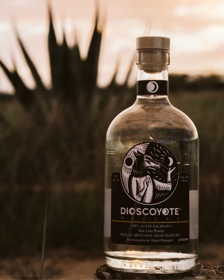 dios_coyote_5